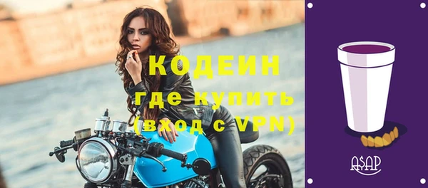 прущие грибы Арсеньев