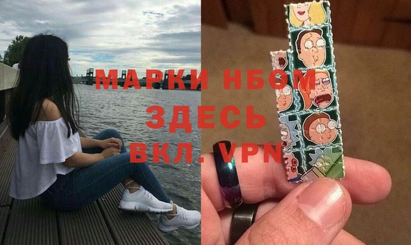 прущие грибы Арсеньев