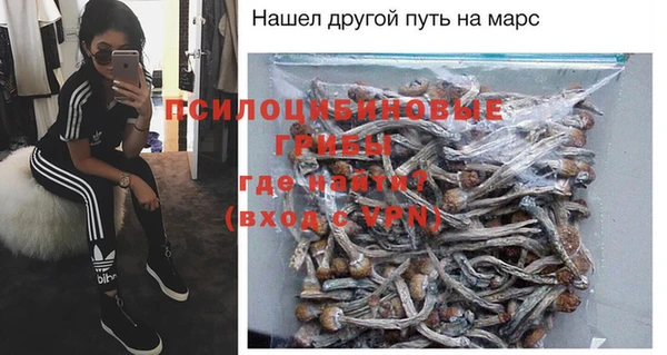 прущие грибы Арсеньев