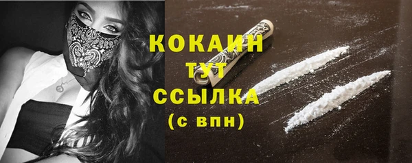 прущие грибы Арсеньев